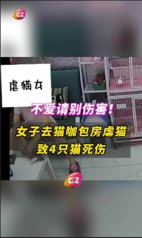 第1571页