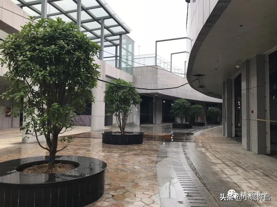 港澳新闻 第256页