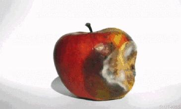 游戏专题 第262页